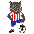 Bet365白金2026版-Bet365APP下载安装IOS/安卓手机版正版